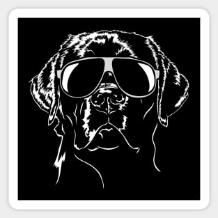 Funny Proud Labrador Retriever sunglasses cool dog Lab Mom Sticker